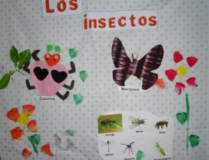 materiales