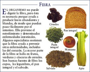 fibra-3