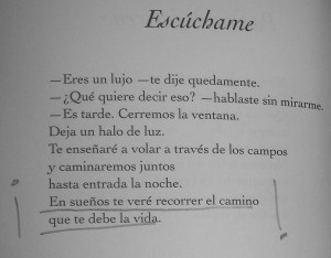 En sueños te veré recorrer el camino que te debe la vida