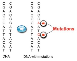 Mutations_chart