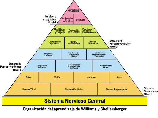 Integracion Sensorial