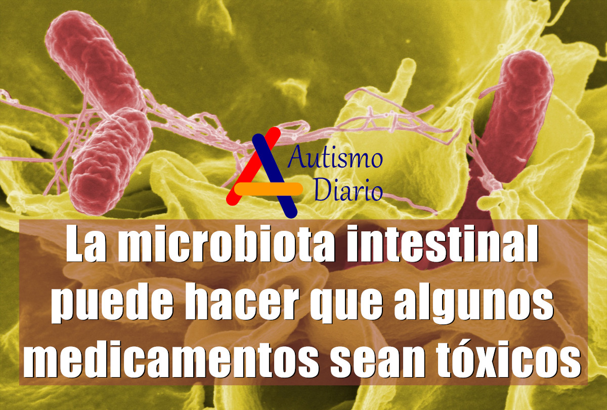 microbiota intestinal medicamentos tóxicos